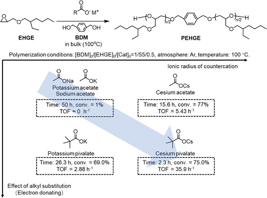 Catalytic performance of alkali metal carboxylates for the ROP of EHGE. Adapted with permission from ref 32. Copyright 2022 American Chemical Society.
