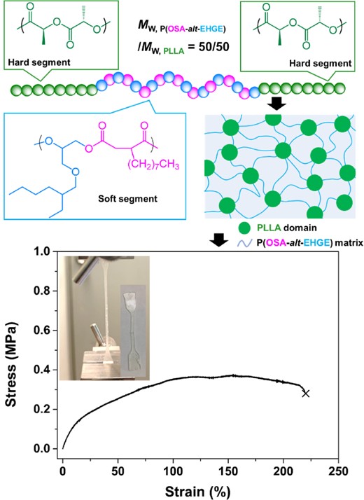 Structure–property relationship for PLLA-b-P(OSA-alt-EHGE)-b-PLLA with a 50:50 block ratio (w/w). Adapted with permission from ref 36. Copyright 2021 American Chemical Society.