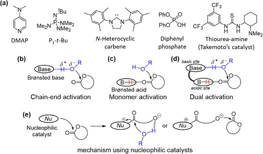 (a) Representative organocatalysts for controlled polymerization; polymerization mechanism of ROP of cyclic esters when using different types of organocatalysts: (b) chain-end activation using Brønsted base catalysts; (c) monomer activation using Brønsted acid catalysts; (d) dual activation using bifunctional catalysts; (e) mechanism using nucleophilic catalysts.
