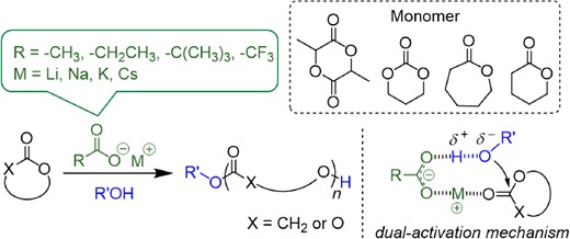 AMC-catalyzed ROP of cyclic esters.21