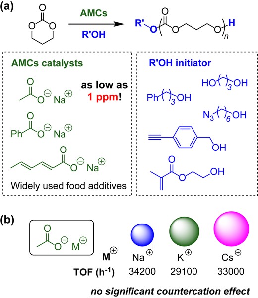 (a) AMC-catalyzed ROP of TMC; (b) TOF values when using different acetate alkali metal salts. Redrawn based on data from ref 27.