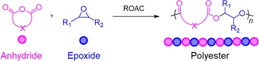A general scheme of ROAC of cyclic anhydrides and epoxides.