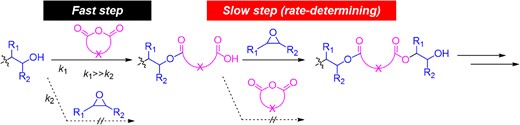 General scheme of the polymerization mechanism of ROAC.