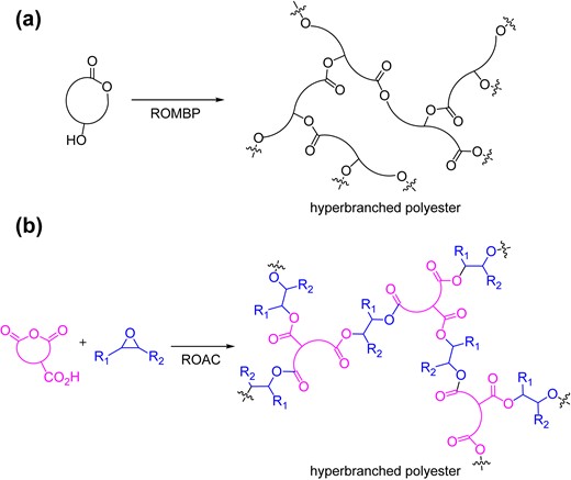 Hyperbranched polyesters by (a) ROMBP and (b) ROAC.