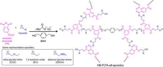 Hyperbranched polyester synthesis via the ROAC of trimellitic anhydride with epoxide. Adapted with the permission from ref 39. Copyright 2022 Royal Society of Chemistry.