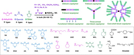Self-switchable polymerization of mixed anhydrides, epoxides, and cyclic esters with alkali metal carboxylates as catalysts and carboxylic acids/alcohols as initiators. Adapted with permission from ref 36. Copyright 2021 American Chemical Society.