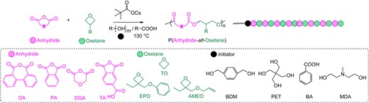 ROAC of anhydrides and oxetanes catalyzed by cesium pivalate. Reprinted with permission from ref 73. Copyright 2022 American Chemical Society.