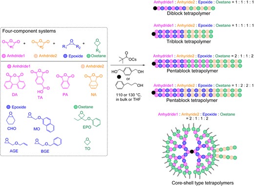 One-step synthesis of multiblock copolymers from a four-component monomer mixture of two cyclic anhydrides, epoxide, and oxetane. Adapted with permission from ref 73. Copyright 2022 American Chemical Society.