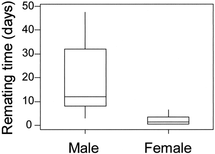 Box-plots of remating time of male and female Kentish plovers. The line is
drawn across the median, the bottom and the top of the box are lower
(Q1) and upper quartiles (Q3), respectively. The
whiskers extend from the lower and the upper quartiles to the lowest and
highest observation, respectively, within the range defined by Q1 -
1.5*(Q3 - Q1) and Q3 +
1.5*(Q3 - Q1)
(MINITAB, 1995).