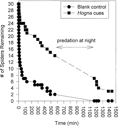 Number of Pardosa remaining alive over time in the presence of Hogna helluo during a 3.5-h period. Spiders either had access
 
(Hogna treatment) or did not have access (blank control) to the
 
presence of Hogna chemical cues during the experiment.
