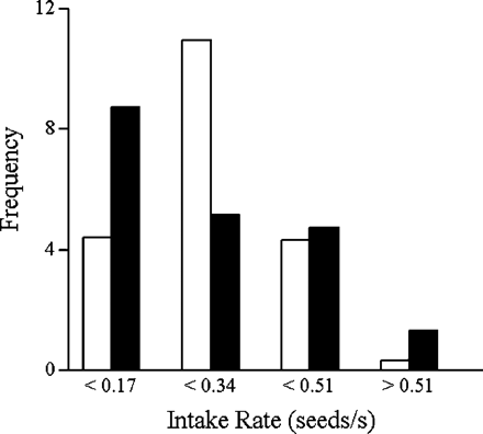 Frequency distribution of intake rates for producer (filled bars) and scrounger (open bars) strategies (n = 20).