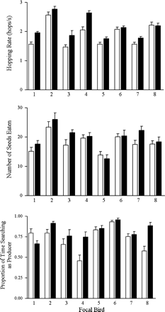 Mean + SE (n = 8–11) hopping rate (a), number of seeds eaten in a trial (b), and proportion of time searching as scrounger (c) in the high (blank) and low (filled) energy budget treatments.