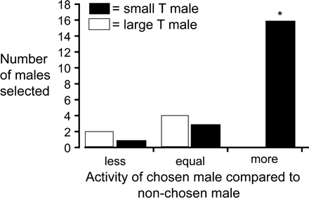 Affiliative preferences of gravid females as a function of the activity level of the chosen male. Gravid females were given a choice to affiliate with either a small or a large territorial male. The number of times a male from either size group was chosen is plotted as a function of the three categories of male activity. The relative activity levels of males selected by the female were calculated as the difference in activity between opponents (e.g., selected minus non-selected) and the male. Male activity level was ranked from 0 (none) to 3 (most active). The data show that females typically chose small males in preference to large males and that small males were usually more active. The asterisk indicates that females chose the more active male significantly more times than the equal or less active male.