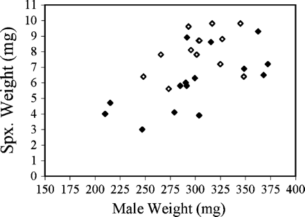 Results from natural-infection experiments show a positive correlation between male weight and absolute spermatophylax weight. This relationship was significant only for infected male crickets (white: control n = 14, R2 = .11, p = .25; black: infected n = 15, R2 = .42, p = .009). Note that two data points (control) are partially obscured.