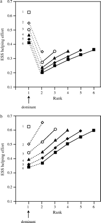 Evolutionarily stable levels of investment at each rank for two values of relatedness: (a) r = .1; (b) r = .5. Numbers on the left of the plotted points denote group size. In each group size, investment levels for dominants (rank 1 individuals) are shown connected by a dotted line to those for subordinates (connected points) because the expression for the dominant's direct fitness differs from the general direct fitness expression used to solve for the subordinate's stable helping levels. Other parameters c = 0.5, μ = 0.1.