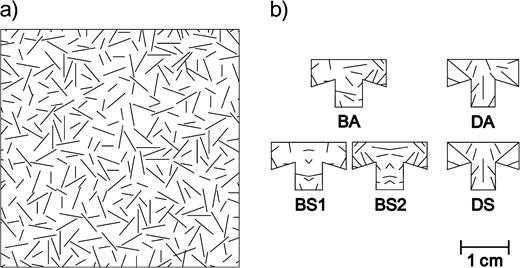 A sample of the background (a) and the five prey color patterns (b) used in the experiment. There were two asymmetric patterns, a background-matching pattern, BA, and an arbitrarily made disruptive pattern, DA. Three symmetric patterns were created from the asymmetric ones, BS1 and BS2 from BA and DS from DA.