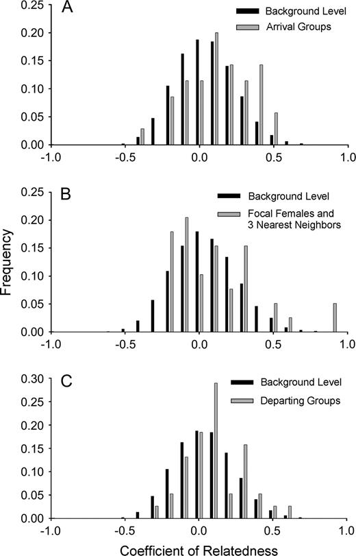 Distribution of relatedness values (A) between females within arriving groups (n = 16 groups), (B) between females and 3 nearest neighbors (n = 13 groups), and (C) between females in departing groups (n = 11 groups) compared with background levels of relatedness for the colony (n = 167 individuals).
