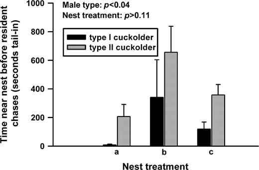 Type II cuckolders were able to remain tail-in longer than were type I cuckolders before receiving a chase from the resident, territorial type I male.