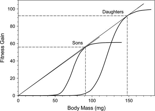 FG in relation to maternal investment expressed as offspring body mass. The FG of sons was corrected for the observed sex ratio. Dashed lines indicate optimal expenditure values and the corresponding FGs. The points of optimal investment are graphically represented by tangents through the origin to the FG curves.