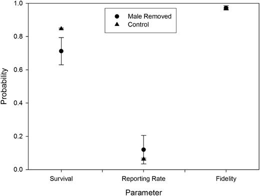 Model averaged estimates of annual survival, reporting rate, and fidelity (±standard error) of female black brant for whom the male member of the pair was removed compared with control pairs for all models with ▵AICc ≤ 4.0.