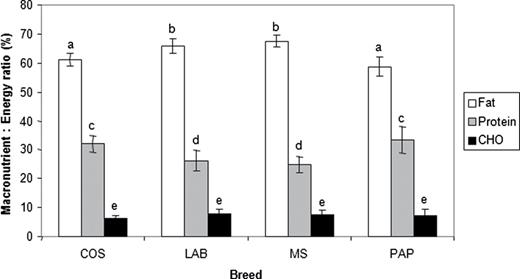 Mean macronutrient: energy composition (with 95% CI) of the diet composed from a choice of 3 wet foods with variable protein, fat, and carbohydrate content in the experienced self-selecting phase by 4 breeds of dogs (Experiment 2). COS, cocker spaniel; LAB, Labrador retriever; MS, miniature schnauzer; PAP, papillon. Letters a–e indicate homogenous breed groupings within a macronutrient at the 5% level (i.e., those macronutrients with the same letter are not significantly different between breeds).