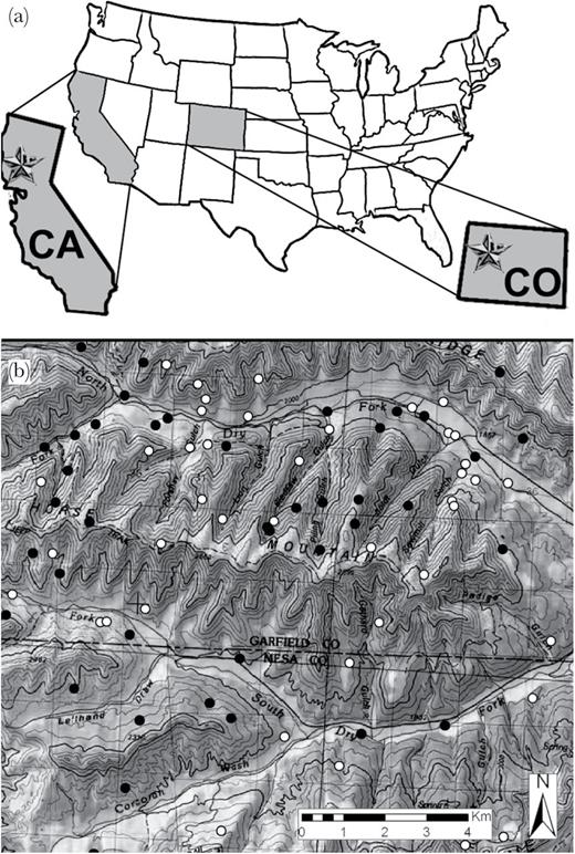 (a) The location of the 2 study areas in the United States; northern California (CA) and northwestern Colorado (CO). (b) An example of kill locations used in the RSF analyses that illustrates that kills detected quickly and slowly by black bears were often adjacent and in similar areas. Black points represent kills which were discovered by a black bear within 48h, and white points are kills discovered by bears ≥96h after they were made or not at all.