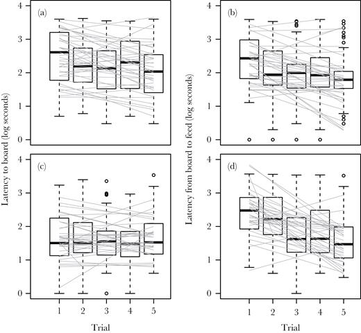 Box plots and estimated individual reaction norms (gray lines) for 2 measures of captive house sparrow behavior (n = 36) in 2 contexts over repeated trials. (a, c) The latency from the start of the trial to when the subject arrived at the board and (b, d) the latency from arrival at the board to first feed from the board. (a, b) Behavior seen during the novel object trials, lumping both objects. (c, d) Behavior observed during the novel cue trials combining the acquisition and reversal phases. Mean responses significantly declined with trial except in panel C (Table 1), among-individual variance in intercept was significant (Table 2), and among-individual variance in slope was not significant (Table 3) in each panel.