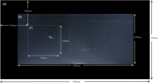 The front view of the experimental tank showing the black corrugated plastic screen border (a), the translucent screen and field of view of the camcorder (b), and the projected prey arena (c) containing a stickleback attacking one of 8 prey.