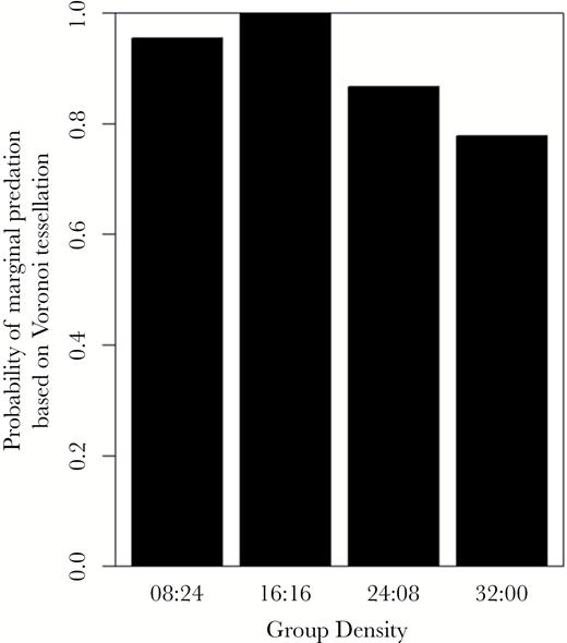 The probability of an attack being made on the edge of a group as described by Voronoi tessellation at different prey group densities (Experiment 2).