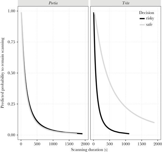 AFT model curves depicting the probability of continuing scanning behavior over time, as a factor of route chosen (risky or safe) in Experiment 1 for Portia and Trite spiders. Portia’s scanning behavior was not affected by route chosen, while Trite’s probability to remain in scanning mode was higher when spiders opted to take the safe route compared with the risky routes.