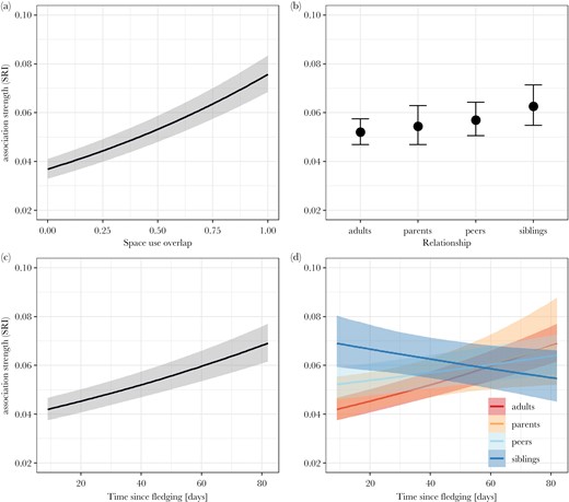 Predicted association strengths of juveniles with other birds during ontogeny including 95% credible intervals. (a) Dyadic association strength predicted by space use overlap. Juveniles were more strongly associated with birds using the same feeder areas. (b) Dyadic association strength predicted by relationship type. Fledglings showed a slight overall preference for associating with siblings and peers over non-parent adults, while there was no evidence for an overall preference for or avoidance of parents. (c) Dyadic association strength predicted by age. Juveniles increased their overall association strength with other birds with increasing age, measured in days since fledging. (d) Change in dyadic association by relationship type with age. While juveniles initially were more strongly associated with siblings over other birds, their dyadic association strengths decreased with increasing age. All other types of relationships (with parents, non-parent adults and peers) increased with increasing age of the juvenile.