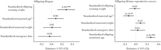 Statistical model outputs (dot-whisker plots), with points representing model regression coefficient estimates and bars representing ± 95% confidence intervals (CIs). Numbers above each dot-whisker indicate the Beta coefficient estimates. Asterisks represent significant results (*P < 0.05, **P < 0.01, ***P < 0.001). Left panel: Model output with offspring longevity as the response variable and offspring weight at weaning, quadratic maternal age, maternal weight, and date of first emergence as fixed effects (standardized; n = 518 individuals). Right panel: Model output with offspring lifetime reproductive success (number of yearlings reared) as the response variable and offspring weight at weaning, maternal age, maternal weight, and date of first emergence as fixed effects (standardized; n = 115 individuals).