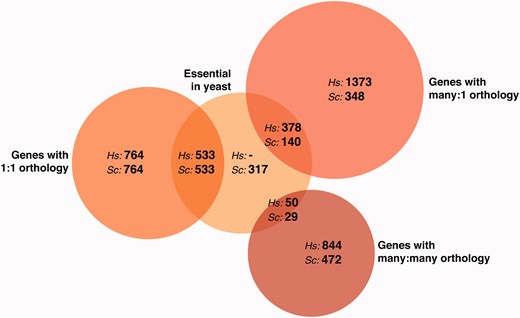 Humans and yeast share thousands of orthologous genes. The Venn diagram illustrates counts of human–yeast orthologs [2], grouped according to the nature of the orthology (classifying orthologs according to whether their count in humans:yeast is 1:1, many:1, or many:many) and whether the yeast genes are essential or not under standard laboratory growth conditions [3]. (A colour version of this figure is available online at: http://bfg.oxfordjournals.org)