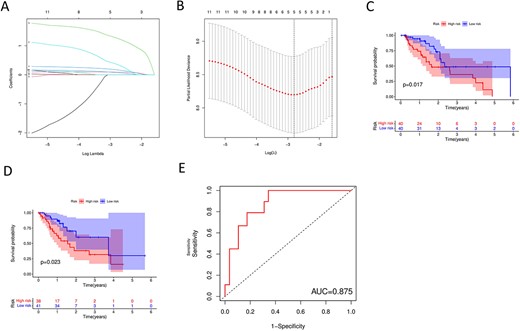 Construction of m6A-lncSig. (A–B) Lasso-Cox regression analysis. (C–D) Kaplan–Meier curves for the training group and the test group, respectively. (E) The ROC curve.