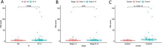 Correlation analysis between m6A-lncSig risk score and N stage (A), tumor stage (B) and different clusters (C).