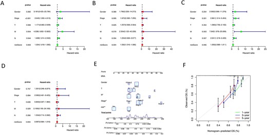 Univariate Cox analyses of the training group (A) and test group (C), and multivariate Cox analyses of the training group (B) and test group (D). (E) is the nomogram based on gender, tumor stage, TMN stage and risk score. (F) is the calibration curve.