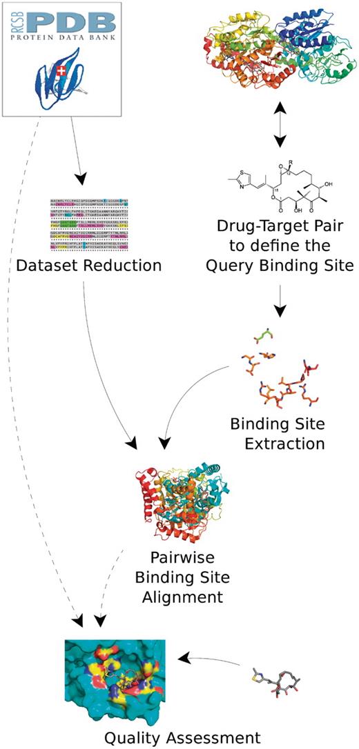The workflow used in many studies to find new targets based on already known ones. Information about known drug–target pairs are used to identify the binding site of the query protein(s). Structures from the PDB and/or theoretical models are obtained. To reduce the set of structures, which have to be compared, e.g. sequence clustering can be applied. Subsequently, the structures are aligned. Additionally, methods, like docking the ligand of the query binding site to the target binding site, can be used to get more confident hits and to reduce the result data set.