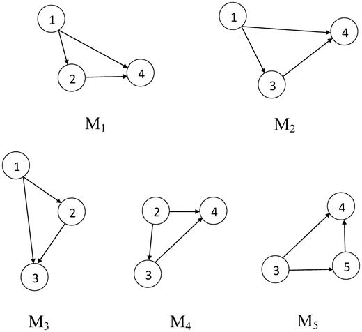 Instances of a candidate motif in the network given in Figure 2 using frequency concept F1.
