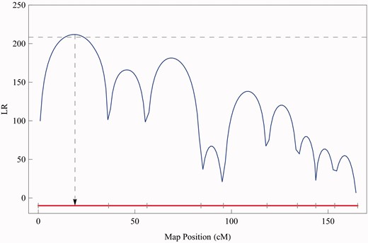 The LR profile of QTL search over a linkage group. The genome-wide critical threshold is indicated by the dash horizontal line. The LR peak corresponds to the MLE of the QTL position indicated by a of the arrowed dash vertical line. The positions of markers are indicated at ticks at x-axis.