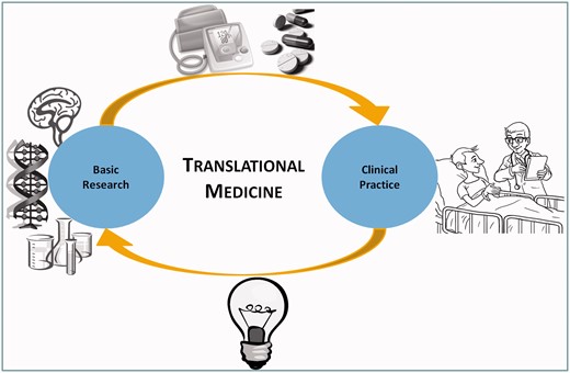 Knowledge workflow in translational medicine. Translational medicine improves the knowledge on human diseases by translating basic science research results into new exams, devices and treatments, which are then incorporated into the clinical practice. It also explores the knowledge collected during patient care to identify new research topics and topics that need further research.