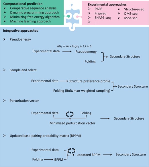 Overview of the RNA secondary structure prediction methods. Integrative approaches are computational and experimental information incorporated approaches for predicting RNA secondary structure. There exists several algorithms, including psuduoenergy-based algorithm, sample and select approach, perturbation vector minimization and updated BPPM.
