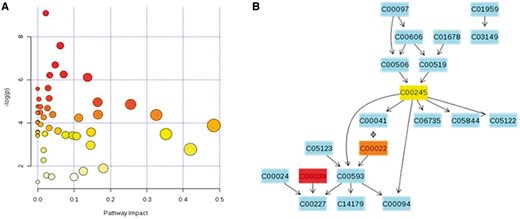 Some graphical visualization features of MetaboAnalyst: metabolome view (A) and pathway view (B). Images were obtained using the example data provided with the MetaboAnalyst software. In the metabolome view, each circle represents a different pathway; circle size and color shade are based on the pathway impact and p-value (red being the most significant), respectively. By clicking on a circle, the corresponding pathway view is generated, showing all genes involved in that pathway and their interactions. The codes represent compound IDs as reported in KEGG. In (B), the taurine and hypotaurine metabolism pathway is shown. As for compound colors within the pathway view, light blue means the metabolite is not in the uploaded data, but it has been used as background for enrichment analysis, whereas other colors (varying from yellow to red) mean the metabolite is in the data, with a different level of significance (red being the most significant). A colour version of this figure is available at BIB online: http://bib.oxfordjournals.org.
