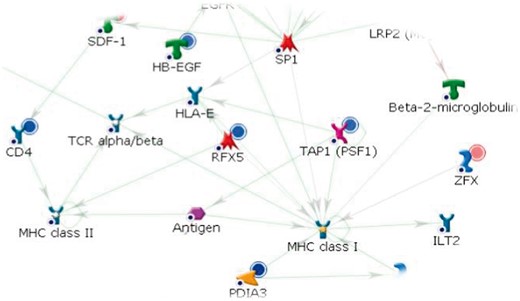 Example of a biological network representation in MetaCoreTM. According to their shape and color, nodes represent genes, proteins, metabolites or other biological elements, while directed edges represent the reactions intercurring between them: green for activation, red for inhibition and gray if unspecified. Compounds with abundance change are identified by a red (abundance increasing i.e. ZFX) or blue (abundance decreasing i.e. TAP1, RFX5) solid circle above them. A colour version of this figure is available at BIB online: http://bib.oxfordjournals.org.