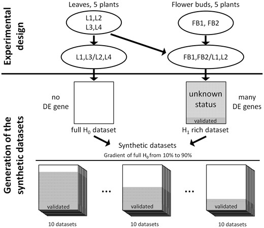 Generation of the synthetic data sets. To construct synthetic data sets, a full H0 data set containing no DE genes is generated by comparing biological replicates of leaves and a H1-rich data set containing a large proportion of DE genes is generated by comparing contrasted samples of leaves and flower buds. The synthetic data sets are generated by the random combination of the full H0 and H1-rich data sets. The control of the number of genes of the full H0 data set included in a synthetic data set allows modulating the proportion of NDE genes coming from both the full H0 and the H1-rich data sets. The subset of genes from the H1-rich data set, which has been validated by qRT-PCR, is included in all the synthetic data sets to evaluate the sensitivity of each method. For each scenario, 10 synthetic data sets are generated.