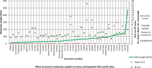Prediction of NLS in bacterial proteins experimentally known to target host nucleus and their relation with molecular weight of proteins.