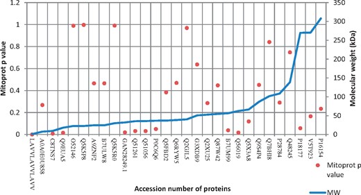 Prediction of MitoProt P value in bacterial proteins experimentally known to target host mitochondria and their relation with molecular weight of proteins.