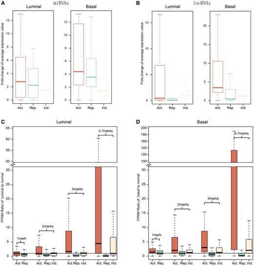 Alterations in epi-modifications affect ncRNA expression in both subtypes. (A) and (B) Fold change distributions of epigenetically dysregulated miRNAs and lncRNAs in luminal and basal breast cancer subtypes. (C) and (D) Altered expression of lncRNAs with different chromatin pattern categories. The x-axis indicates lncRNAs with different numbers and types of epi-alterations, and the y-axis represents the expression fold changes.