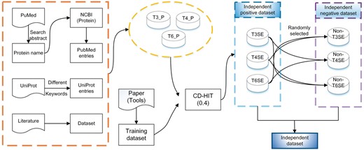Flowchart of the independent test data set collection for T3SEs, T4SEs and T6SEs.