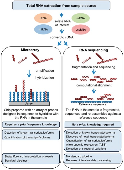 Summary of various features associated with either RNA-microarrays or RNA-sequencing data generation and analysis.