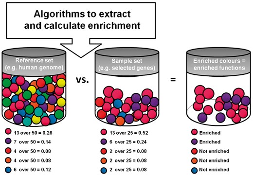 Scheme of a typical functional enrichment analysis. A sample and reference set are compared to highlight the most frequent (i.e. enriched) features within the sample set.